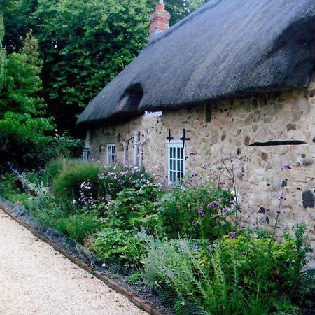 Afton Thatch: Beautiful Thatched Family Cottage Freshwater Exteriör bild