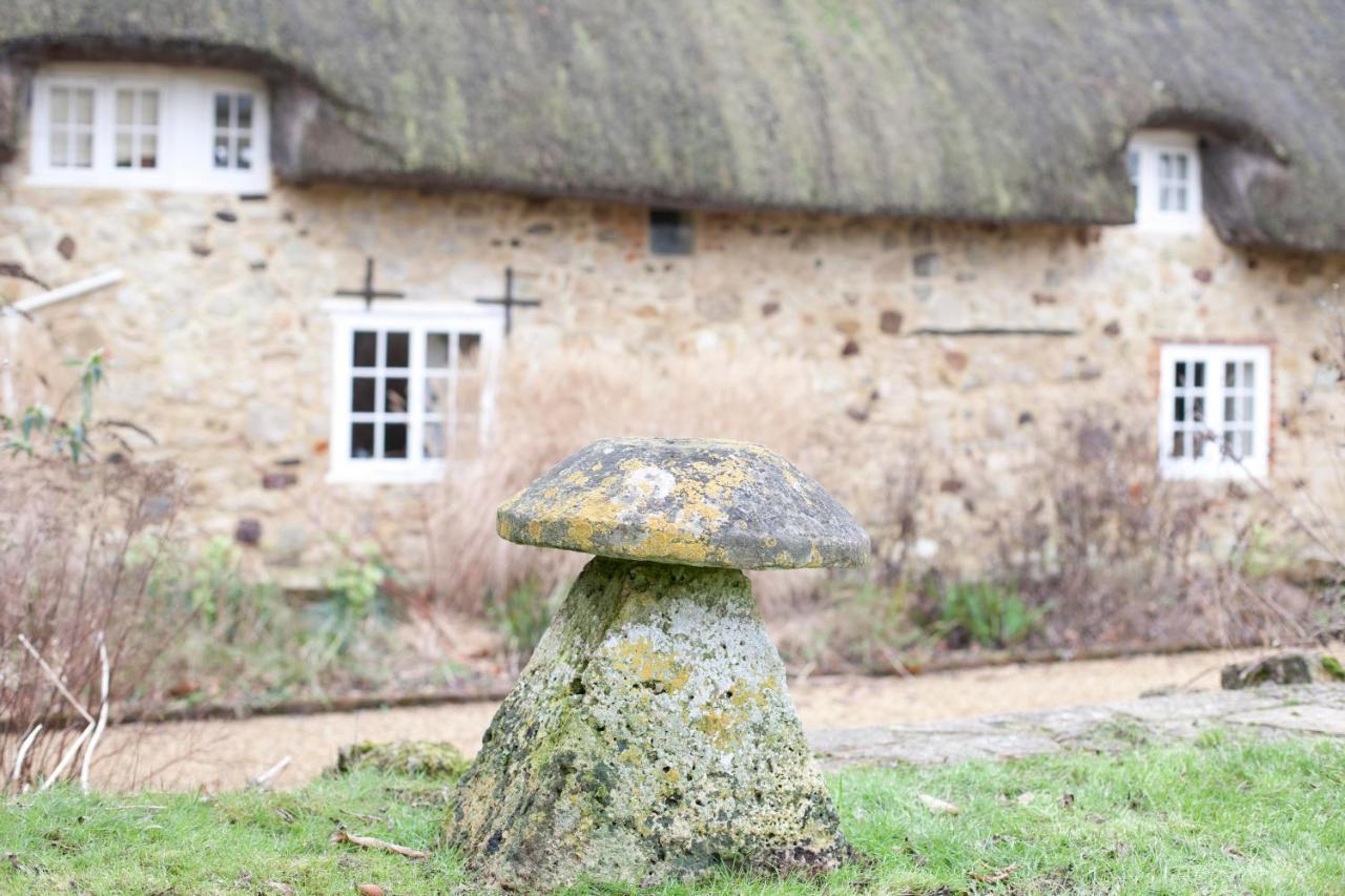 Afton Thatch: Beautiful Thatched Family Cottage Freshwater Exteriör bild
